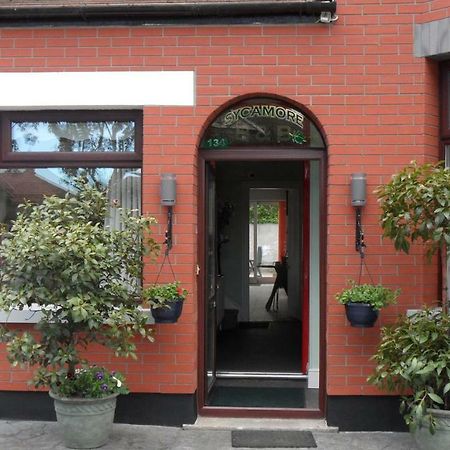 Sycamore House B&B 더블린 외부 사진